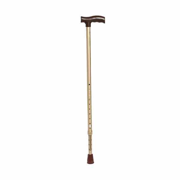 Walking Stick L-Type